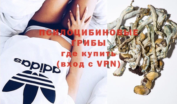 эйфоретик Аркадак