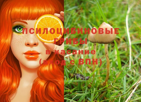 эйфоретик Аркадак